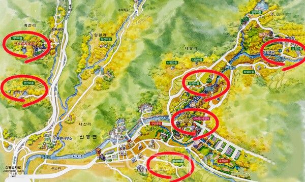 구례산동 산수유 꽃 핫플레이스