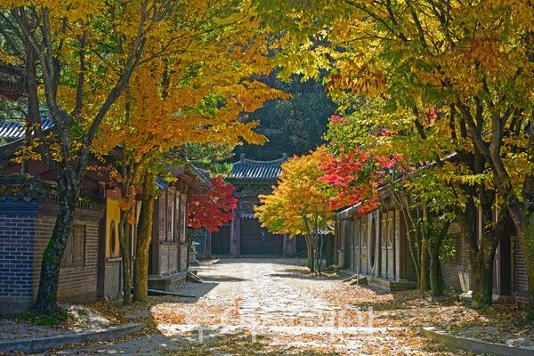 온달관광지 전경. /사진-단양군