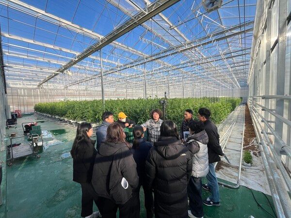 임대형 스마트팜 단지에서 청년농부들이 현장 연수를 하고 있다./사진-봉화군