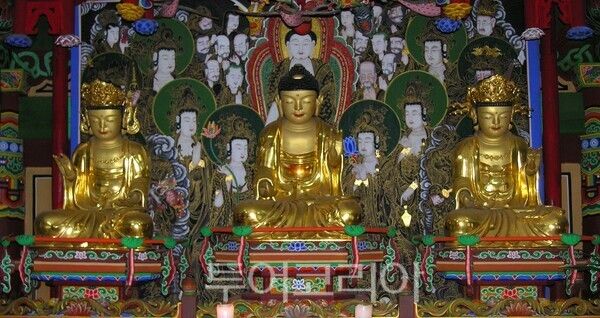 ▲道 문화유산으로 신규 지정된 홍성군 용봉사 대웅전 내부의 목조여래삼존상 모습. /사진-홍성군