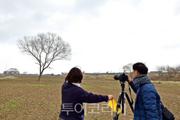 나주시와 남도풍경연구소가 지난 10일 영산강 들섬과 동섬 일원에서 사진 촬영 명소 위치를 확인하고 있다. /사진-나주시