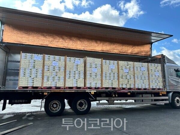 자료사진. /사진-서귀포시