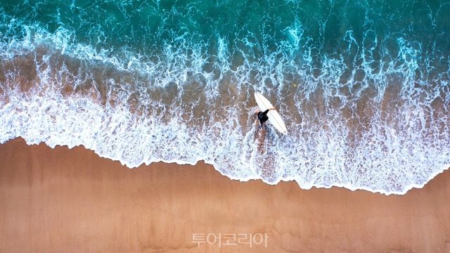 태안 만리포해수욕장/사진-충남도