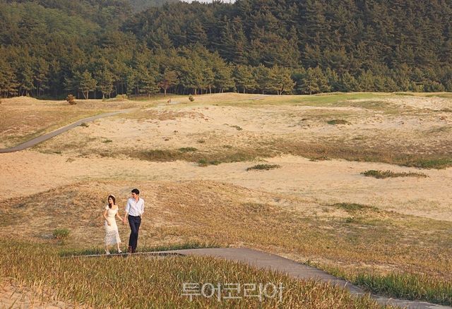 태안 신두리 해안사구 /사진-태안군