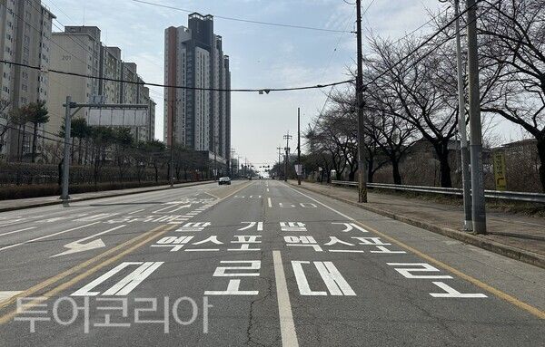 ▲도색을 마친 ‘딸기엑스포대로’ 모습. /사진-논산시