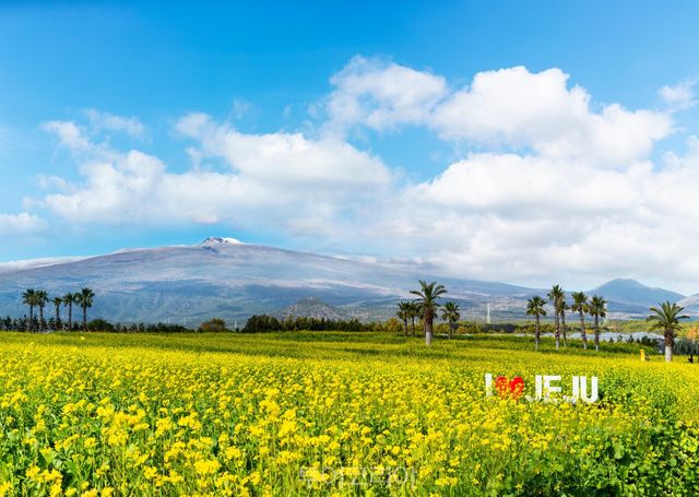 사진-휴애리자연생활공원 제공