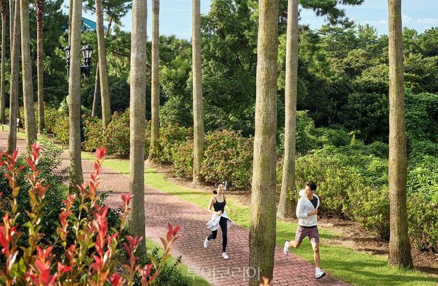 레디 셋 웰니스 / 사진-그랜드 조선 제주