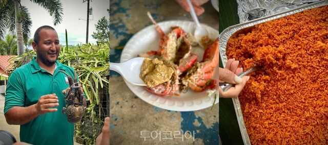 코코넛크랩을 손질하는 모습(왼쪽), 내장을 맛보는 장면(가운데), 차모로식 레드라이스(오른쪽)./ 사진- 박은하 기자