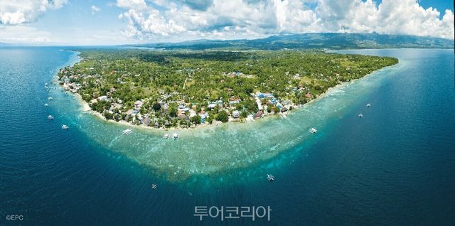 세부 서남부 해안에 자리한 대표적인 다이빙 스폿, 보알모알 / 사진-필리핀관광부