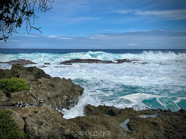 거센 파도가 스위밍홀의 바위를 세차게 때리며 물보라를 터뜨린다./ 사진- 박은하 기자