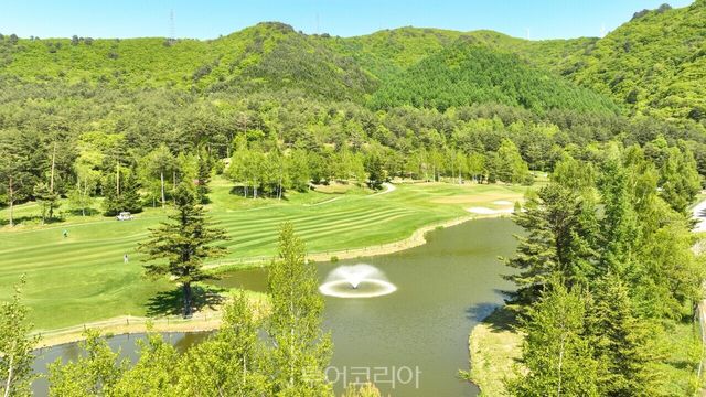 버치힐CC전경 / 사진-모나용평