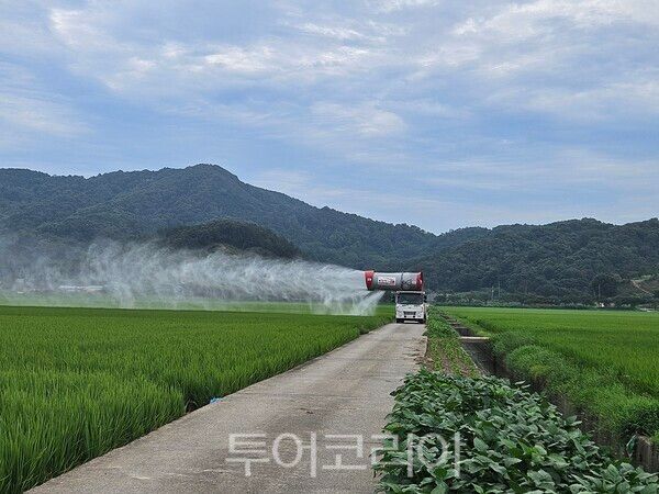 환경친화형 공동방제 실시 모습. /사진-군산시