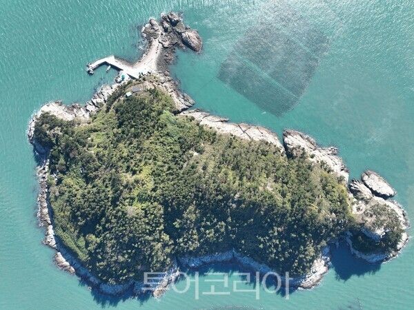 노화읍 대제원도 전경. /사진-완도군