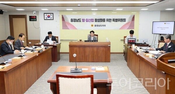 ▲박미옥(비례·국민의힘) 충남도의회 밤·임산업 활성화를 위한 특별위원회 위원장의 주재로 25일 의회 농수산해양위원회 회의실에서 열린 제3차 회의 모습. /사진-충남도의회