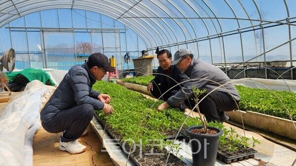 함평군이 영농철을 맞아 관내 3개소 농업인상담소(손불·학교· 해보)를 운영한다. /사진-함평군