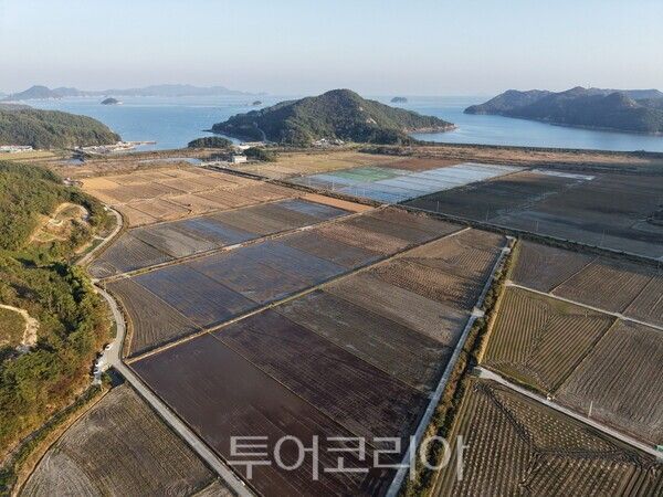 도화 구암 배수 개선사업 대상지. /사진-고흥군