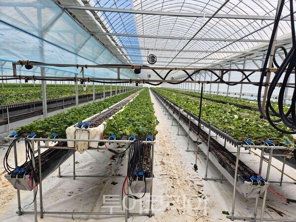 자료사진. /사진-전남도