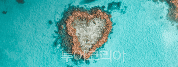 하트 리프 원 트리 힐 패시지 피크 ⓒ해밀턴 아일랜드"