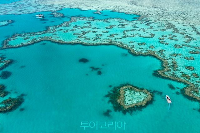 퀸즈랜드 그레이트 배리어 리프 '하트 리프'/사진출처-호주관광청