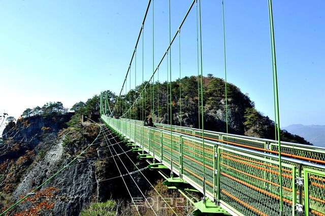 [투어코리아=유경훈 기자 ] 청량산 하늘다리&nbsp;&nbsp;ⓒ투어코리아