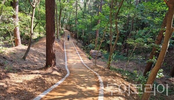 ▲이달 9일부터 전면 개방된 계림공원 맨발산책로 모습. /사진-당진시