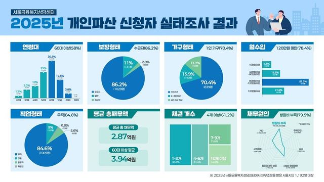 2025년 개인파산 신청자 실태조사 결과/자료=서울시
