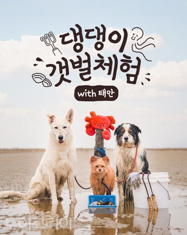 ▲2026 댕댕이 갯벌체험 홍보 포스터. /사진-태안군