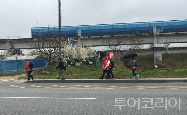 ▲최민호 세종시장 예비후보가 ‘참회와 혁신’을 내걸고 시작한 100km 도보행군인 세종 종주 모습. /사진-최민호 예비후보 캠프