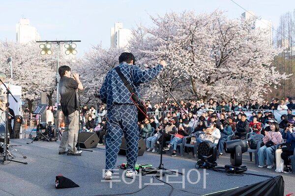 김포시와 김포문화재단이 지난 11일과 12일 양일간 2026 김포벚꽃축제 ‘오롯이 벚꽃’을 개최하고 있다.