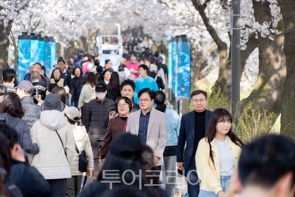 김포시와 김포문화재단이 지난 11일과 12일 양일간 개최한 2026 김포벚꽃축제 ‘오롯이 벚꽃’ 행사에서 김병수 시장이 시민들과 함께하고 있다.