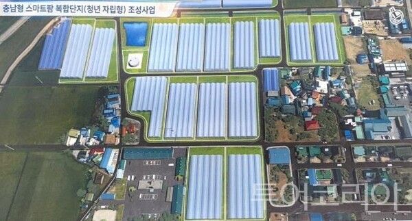 ▲충남형 스마트팜 전경. /사진-논산시