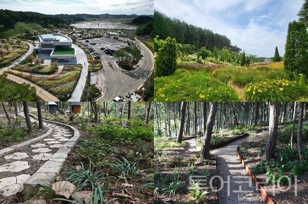 ▲상 왼쪽부터 시계방향으로 지방정원, 원추리 단지, 소나무 숲길, 숲속놀이터 모습. /사진-충남도(편집 류석만 기자)