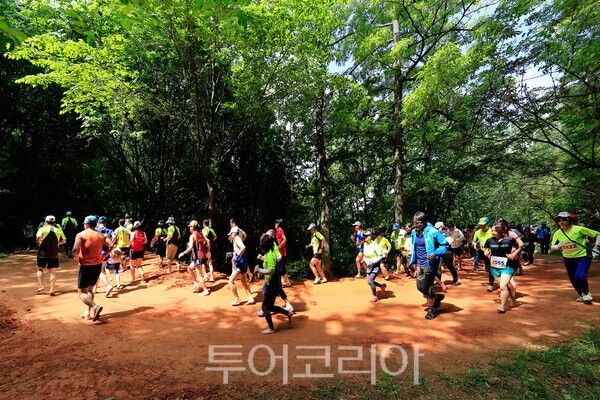 사진 / 선양계족산맨발축제위원회 제공