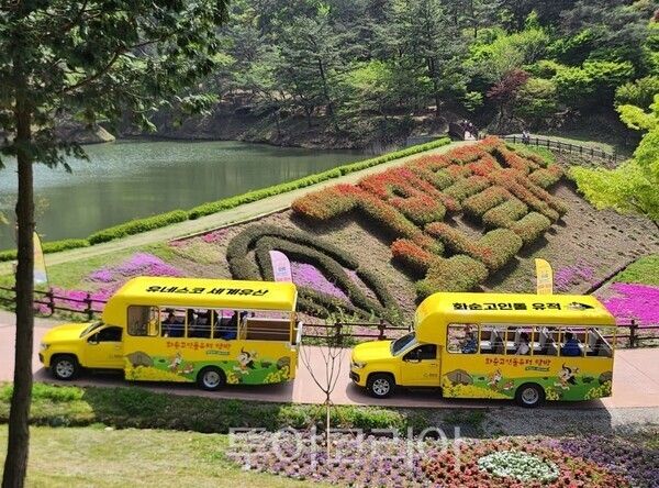 고인돌유적 탐방버스. /사진-화순군