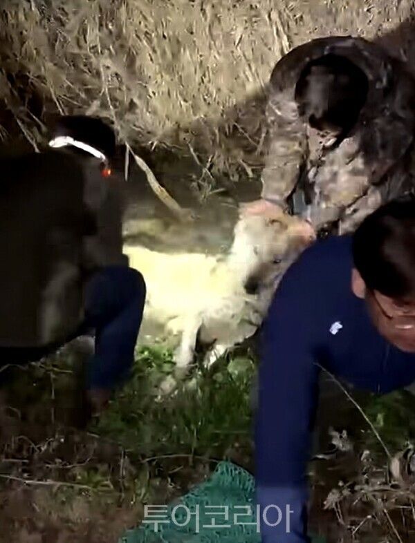 사진 / 대전시 제공 영상캡처