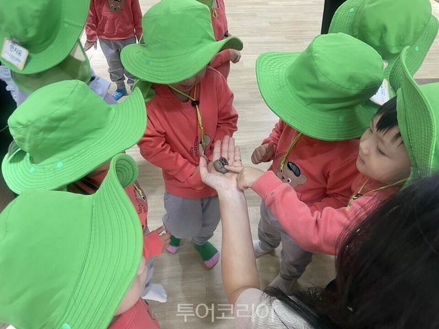 곤충관찰 / 사진=서울시농업기술센터