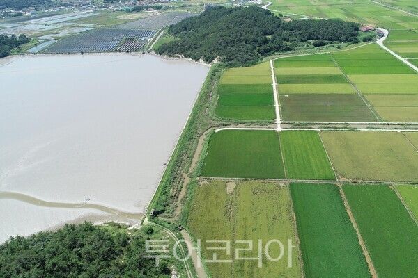 노화읍 충도지구 전경. /사진-완도군