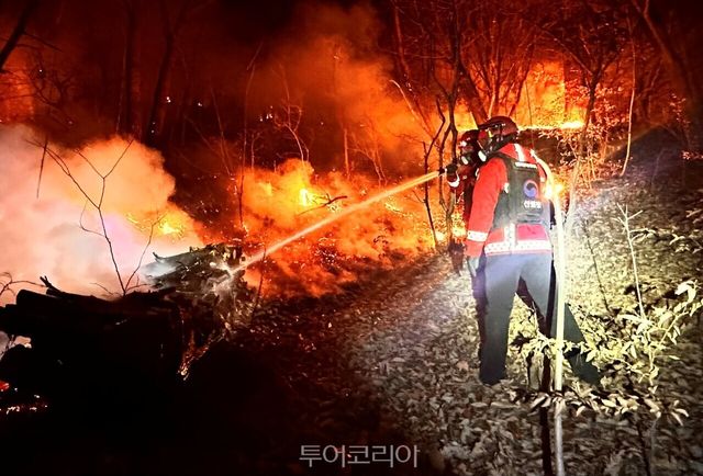 경상남도 밀양시에서 발생한 산불을 진화중인 산불재난특수진화대원