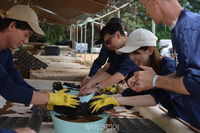 볼런티어 앨라이가 지원하는 상추 농장에서는 하와이 푸드뱅크에 기부될 상추 재배와 물고기 양식을 결합한 친환경 ‘제로 웨이스트(Zero-waste)’ 농법을 직접 체험할 수 있다. (사진 제공=하와이 관광청)