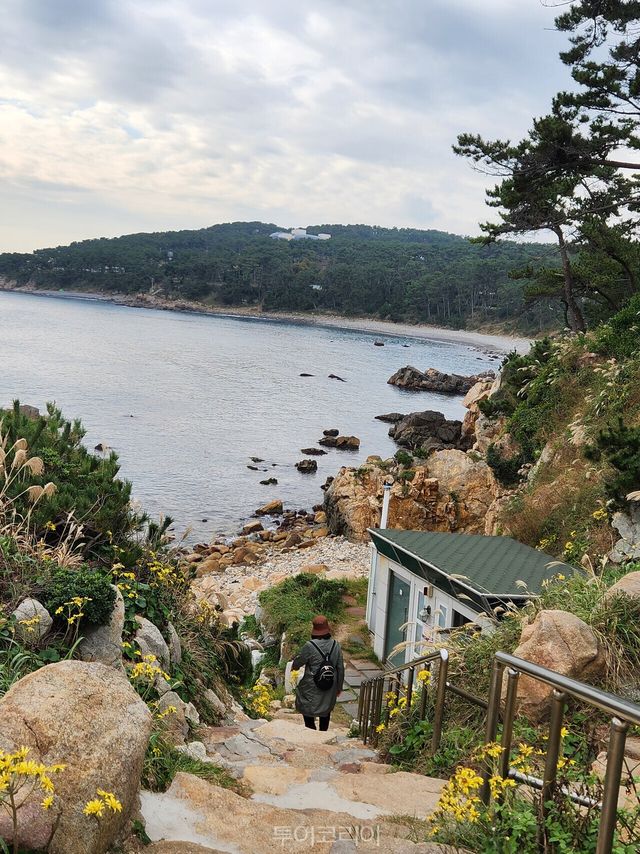 울산 해파랑길 / 사진-투어코리아