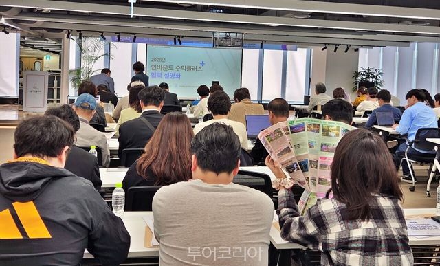 사진-투어코리아
