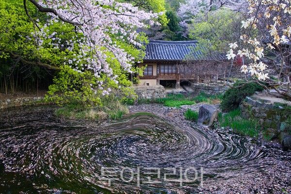 대전 남간정사의 아름다운 모습 / 사진_투어코리아 유지훈 기자
