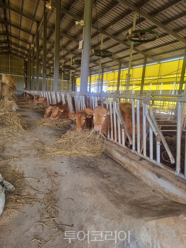 축사. /사진-전남도