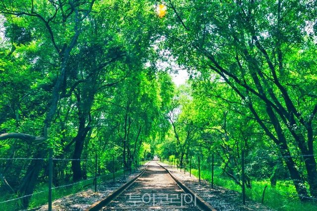 DMZ 셍태평화공원&nbsp; / 사진-철원군