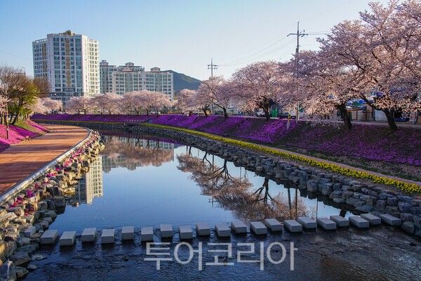 순창읍의 양지천변의 아름다운 모습 / 사진_투어코리아 유지훈 기자