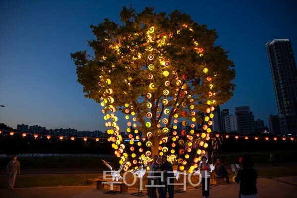 '2026 울산태화가람대축제'에 참석한 시민들이 연등으로 장식된 나무 앞에서 사진을 찍고 있다./사진-김교환 기자