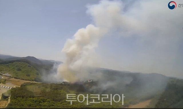 헬기로 촬영한 부여 산불현장/사진 산림청
