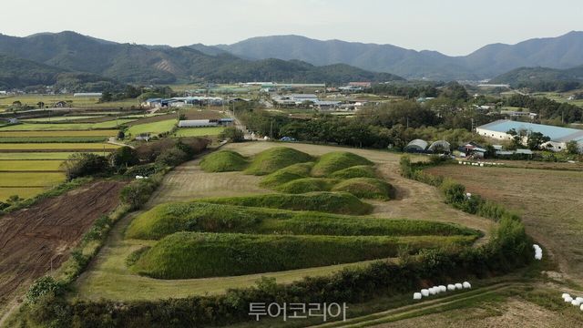 함평 예덕리 고분군 전경 / 사진-함평군
