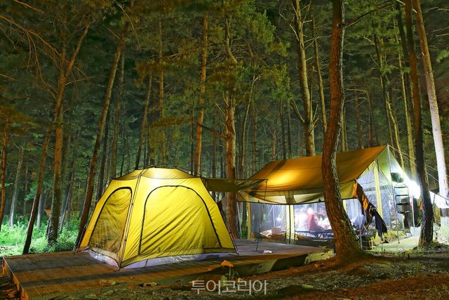 무릉계곡 힐링캠핑장 / 사진-동해시