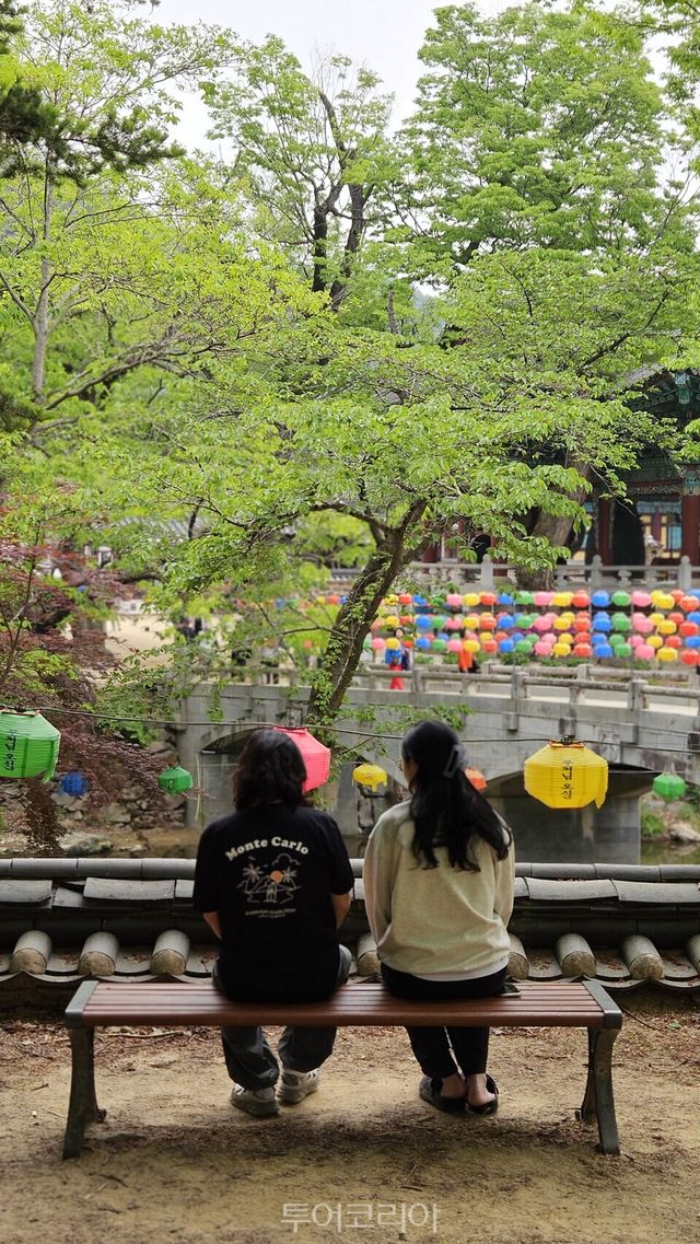 사진=유경훈 기자